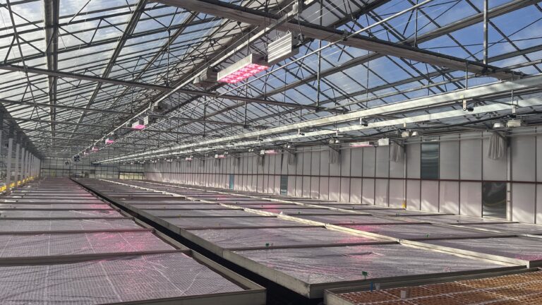 bordon_hill_lighting-768x432 Bordon Hill