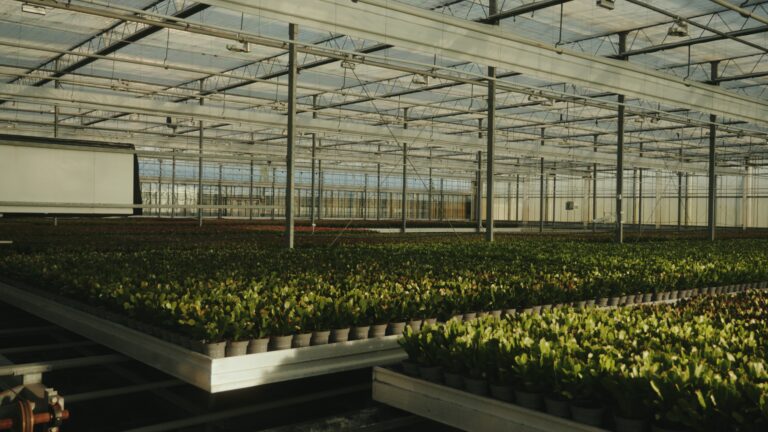 hofland-led-lighting-768x432 Hofland