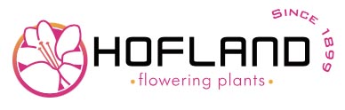 hofland Hofland