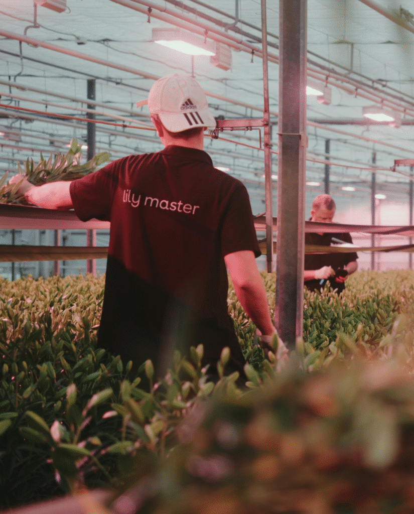 Lighting innovation, rooted in horticulture
