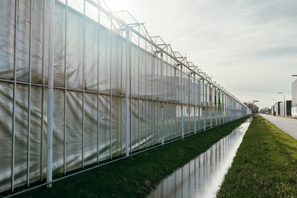 From Grants to Growth: NLight launches free grant-finding service for growers