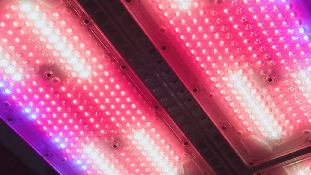 Inside the RV1600: Power, Precision, and Practical Design