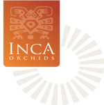 Inca-Orchid-Logo-qkip84blss8g3esrqgfuzgfqgpmak52855zv0ofjae Case Studies